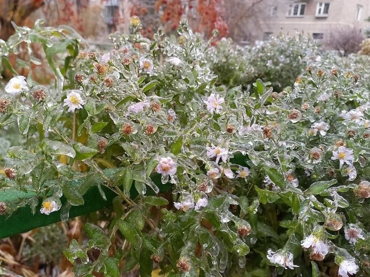 Зима, холода и дорога изо льда: чего ждать от погоды жителям Алтайского края в ближайшие дни