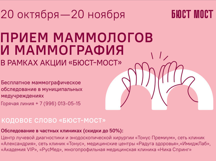  «Бюст-мост» пройдет в Нижнем Новгороде с 20 октября по 20 ноября