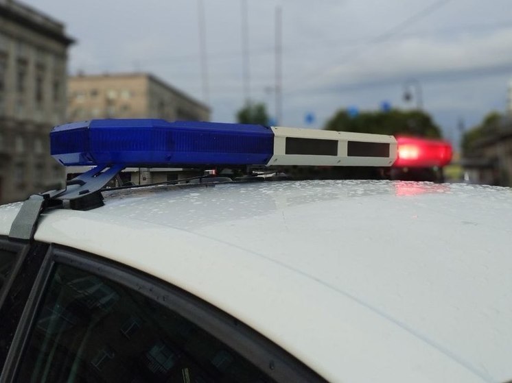 В Тосненском районе поймали 11 нелегалов из Узбекистана