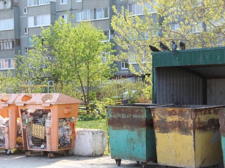 Калмыкия вошла в десятку регионов с низким количеством отходов на душу населения