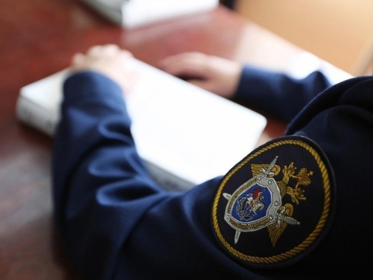 Житель Коврова выстрелил в полицейского из аэрозольного пистолета