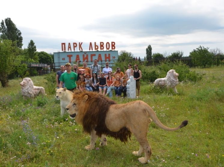 В Крыму львы растерзали управляющую сафари-парка «Тайган» курянина Олега Зубкова