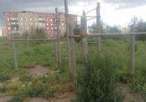 Идея запуска в Забайкальском крае программы «Земский тренер» хороша, но не даст ожидаемого эффекта без комплексного подхода при ее реализации