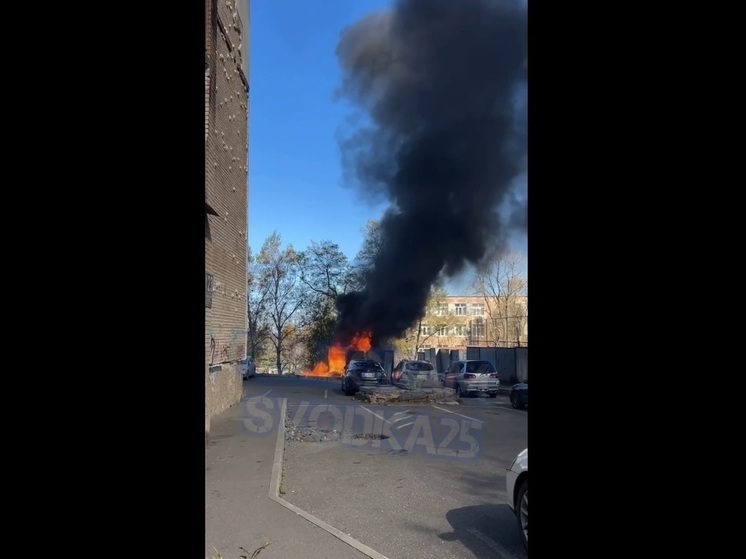 Горевшие вчера мусорки во Владивостоке были незаконными