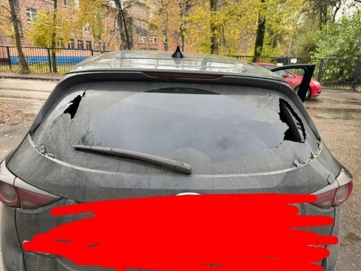 В Ярославле расстреляли автомобиль зоозащитницы
