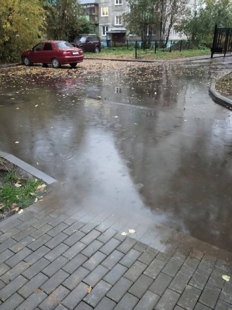 Ярославцы рассказали о новом местном тренде