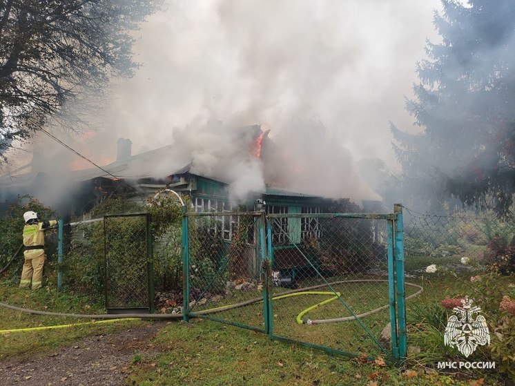 Три пожара произошло в Тульской области 16 октября