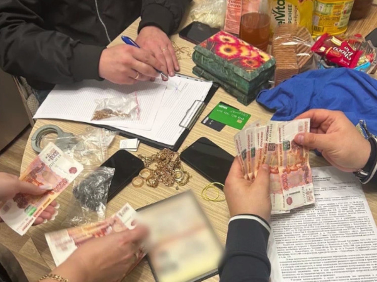 Полиция задержала жителей Новосибирска, грабивших дома в Подмосковье