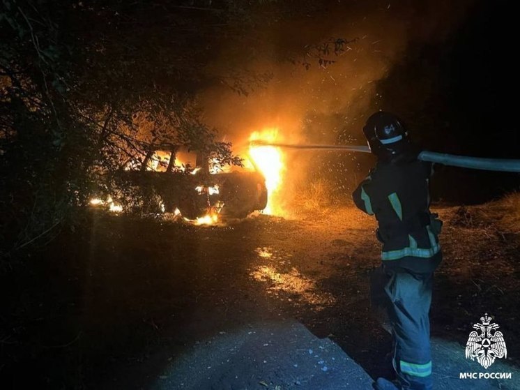 В Акимовке на Запорожье загорелся автомобиль