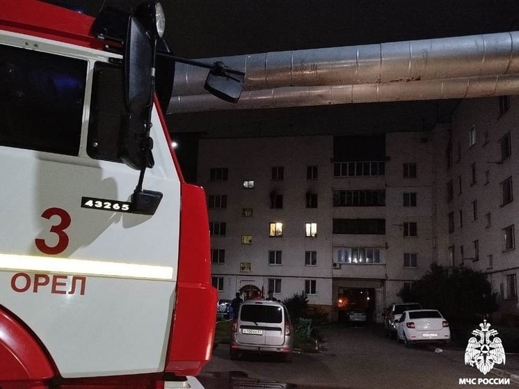В Орле при пожаре погиб мужчина