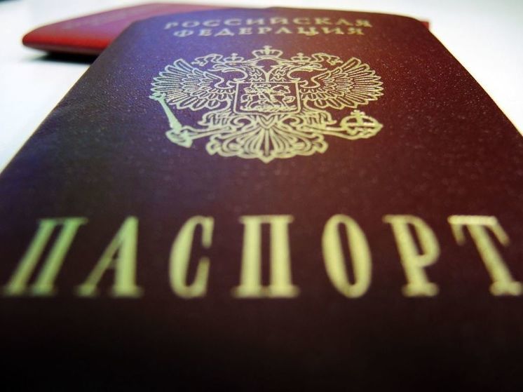 В Подмосковье осужденного мужчину лишили приобретенного гражданства