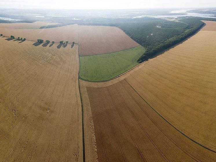 Режим ЧС в агропромышленном комплексе ввели в Курской области из-за засухи