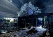 Пожарные в поселке Антипиха в Чите в ночь на 17 октября вывели из горевшего дома женщину и вынесли на руках ее 88-летнего отца