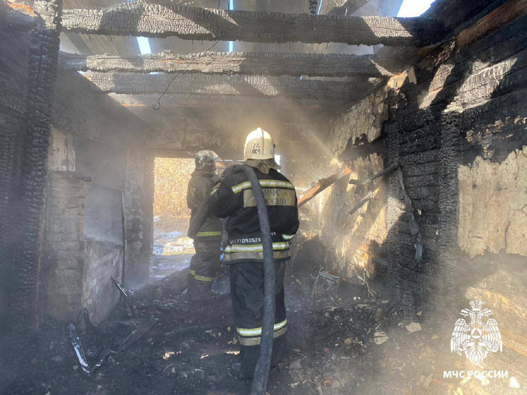 В Новосибирске опубликовали фото пожара, где погибли мать и двое малолетних детей