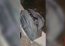 Жителя Забайкальского края задержали с сумкой каннабиса, когда он пытался остановить попутные машины на дороге в Бурятии