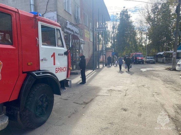 Брянские спасатели потушили пожар в девятиэтажке