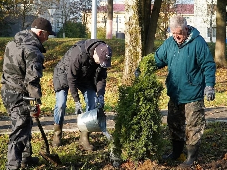 В Сухиничах высадили 150 деревьев