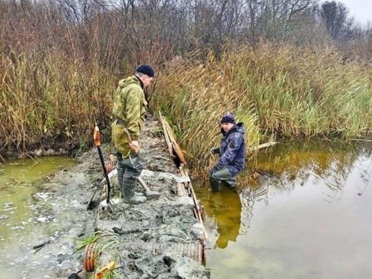 Суд обязал жителя Гатчинского района снести незаконно возведенную им плотину на реке