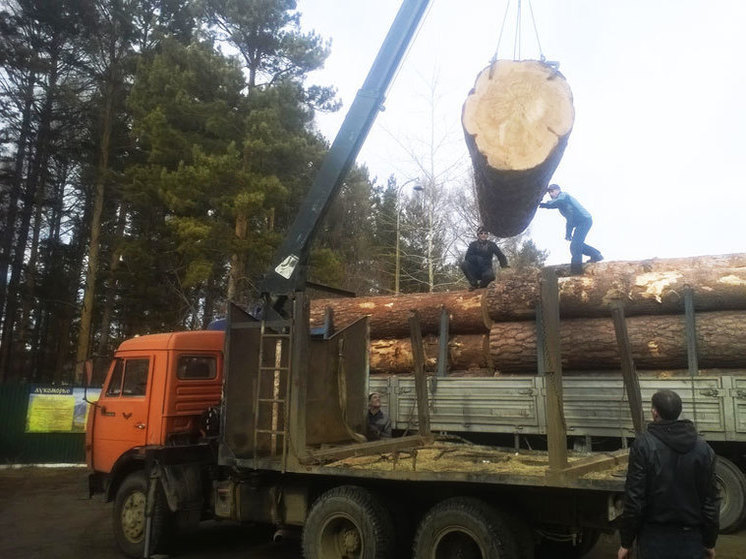 Работник лесопилки погиб в Нижегородской области