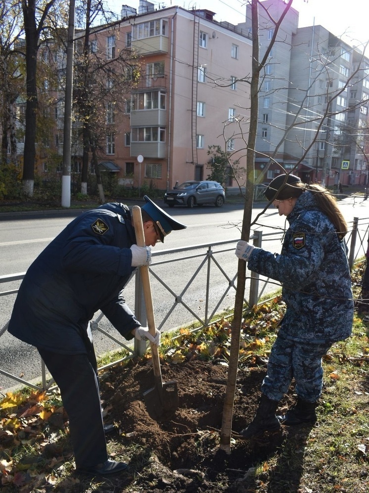 Владимирские приставы несли свой вклад в озеленение города