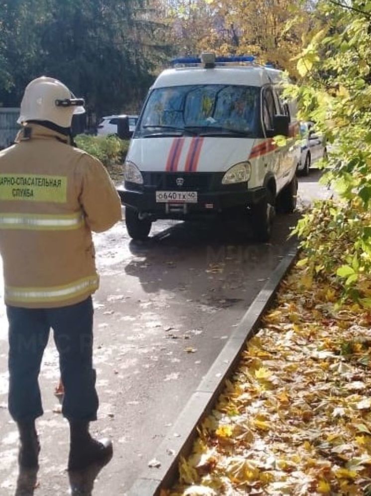 Skoda наехала на пешехода в Обнинске