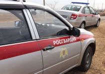 Сотрудники вневедомственной охраны задержали пьяного водителя, который ехал во встречном направлении по дороге с односторонним движением в Краснокаменске