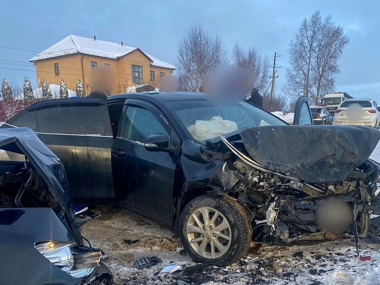 Возбуждено дело о ДТП в Суздальском районе, в котором погибла женщина