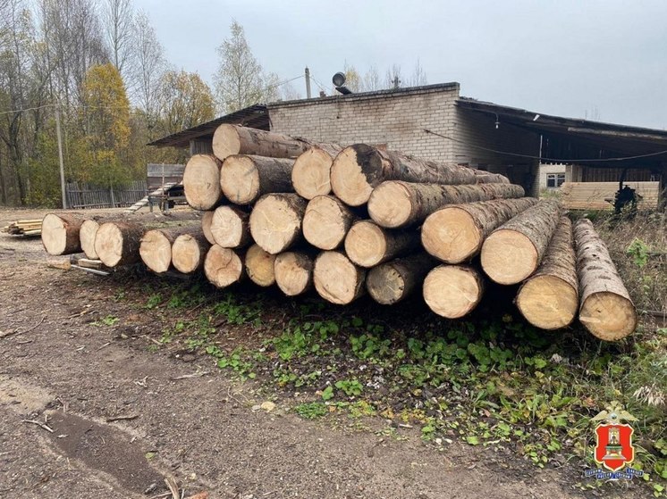 В Тверской области мужчина незаконно нарубил деревьев на 2 млн рублей и попался