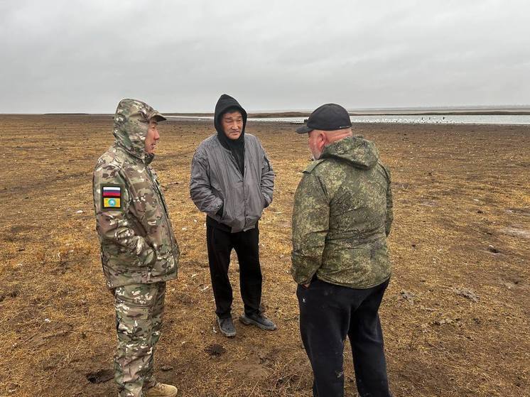 Факт массовой гибели птицы в Калмыкии не подтвердили