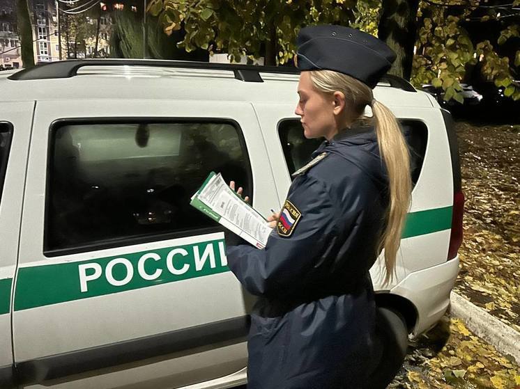 В Тульской области соседский спор о навесе разрешился только после вмешательства приставов