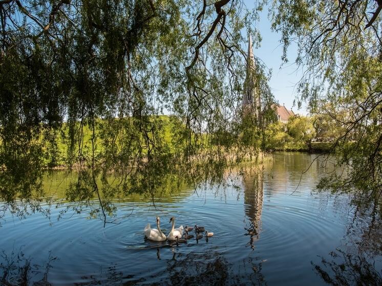 «Использовать потенциал, а не эксплуатировать»: в Новосибирске обсудили бережное развитие туризма у озера Чаны