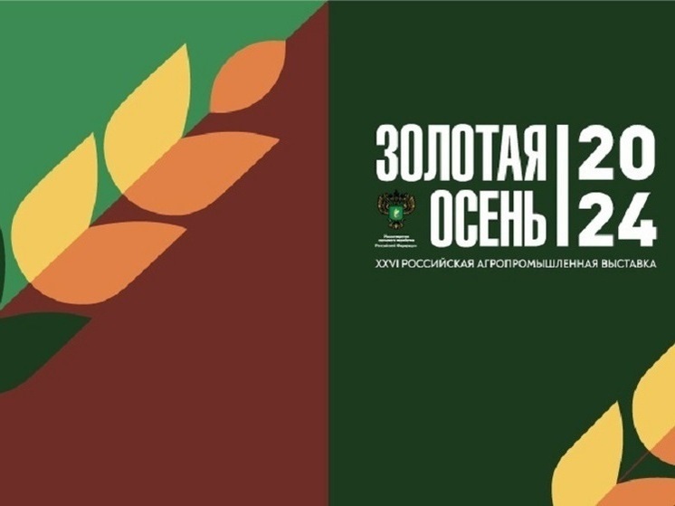 Липчане с «Золотой осени-2024» привезли 18 медалей