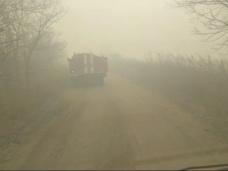 Три пожара ликвидировали после палов травы в Приамурье