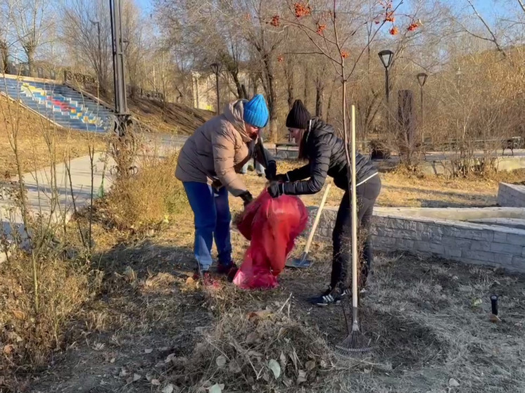 В Улан-Удэ проходит традиционный осенний субботник