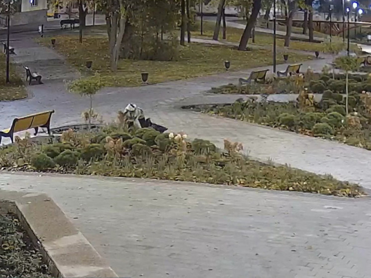 В Нижнем горпарке в Рязани женщина украла розы и попала на камеры