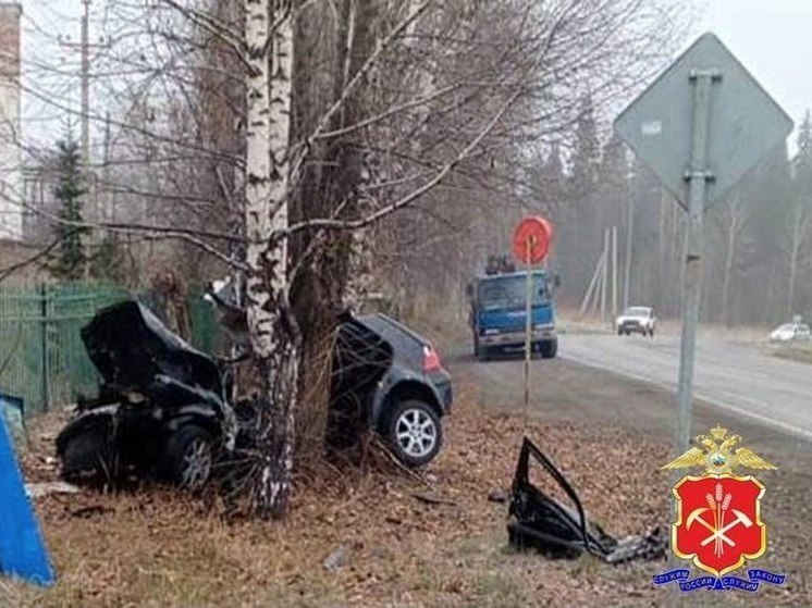 В Кузбассе в результате жесткой аварии один человек погиб и трое пострадали