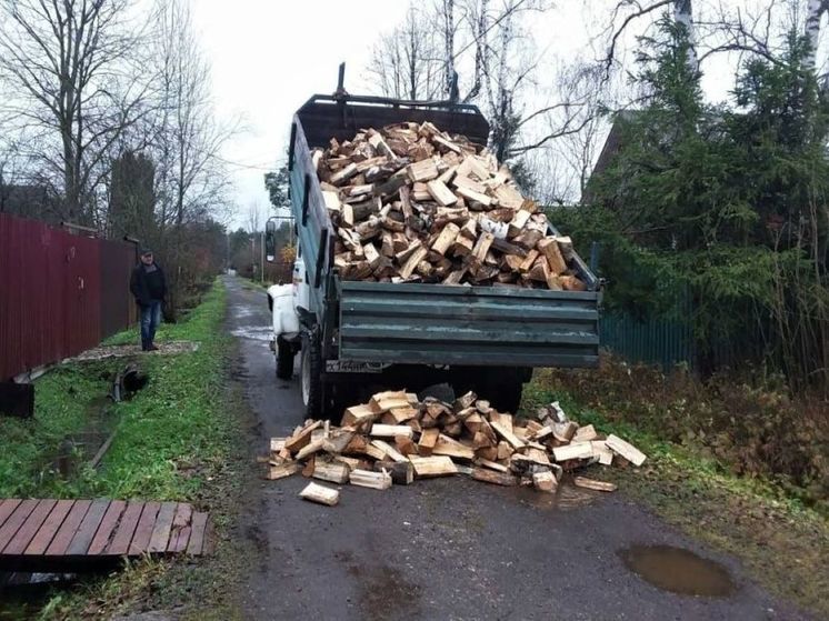 Жители Подмосковья могут отапливать дома древесиной Лесхоза