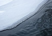 Тело пропавшей в селе Гонохово Каменского района Алтайского края пастушки Надежды Шабуровой найдено в озере Уханово. Об этом сообщает издание «Каменские новости».