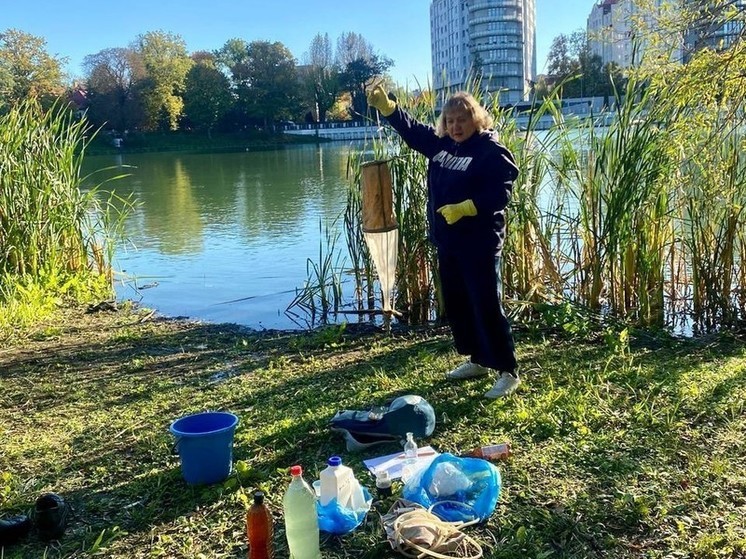 Специалисты расследуют причины гибели птиц и рыбы в водоемах Калининграда