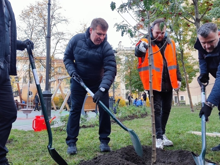 Петербуржцы высадили 900 деревьев на общегородском субботнике