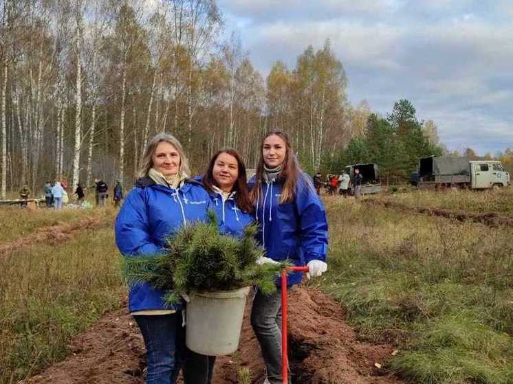 В Смоленской области появился «почтовый лес»