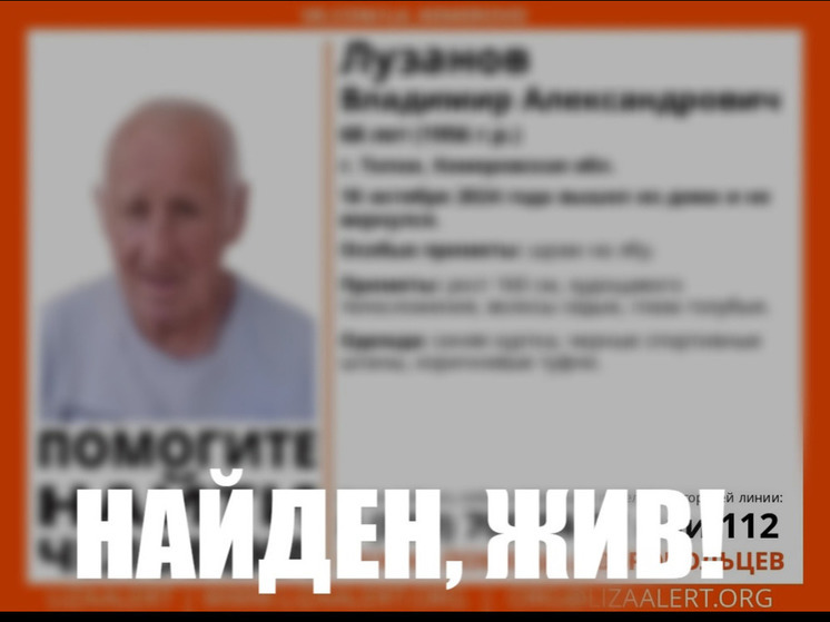 В Кузбассе завершились поиски мужчины со шрамом