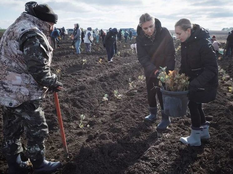 Пять тысяч сеянцев дуба высадили на Куликовом поле