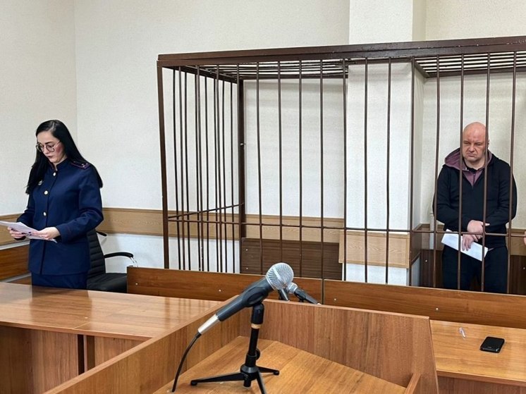Подозреваемого в педофилии рязанца заключили под стражу