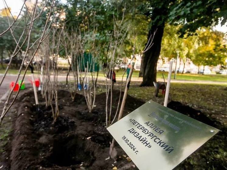 Сквер Циолковского в Петербурге украсили креативными скамейками и сиренью