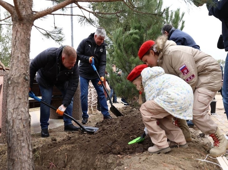 В Ростове-на-Дону высадили 7,5 тысяч кустарников