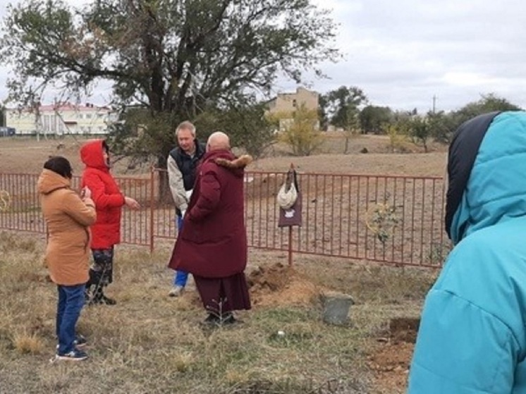 В Калмыкии провели акцию «Посади родовое дерево»