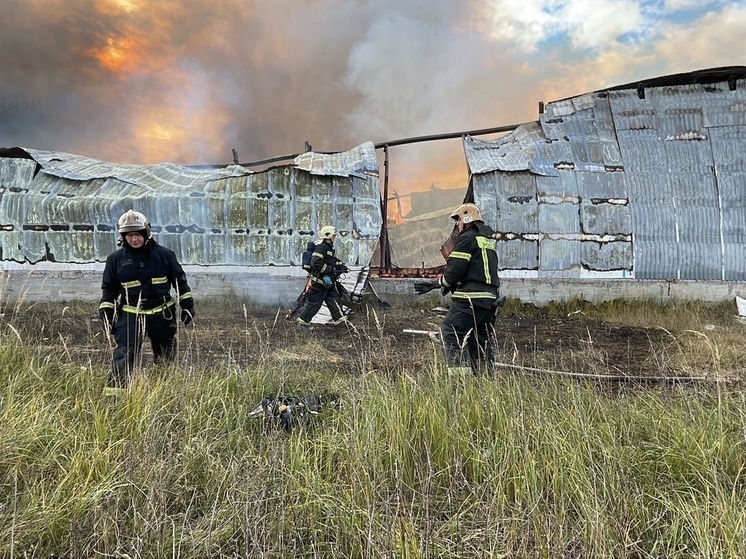 Пожар на производстве дверей в Ковровском районе распространился на 2400 кв м