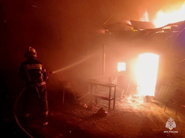 СК расследует гибель трех детей при пожаре в деревне под Тулой