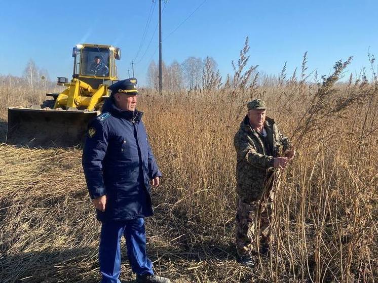 В СНТ под Новосибирском уничтожили 1 га конопли